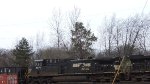 NS 4376
